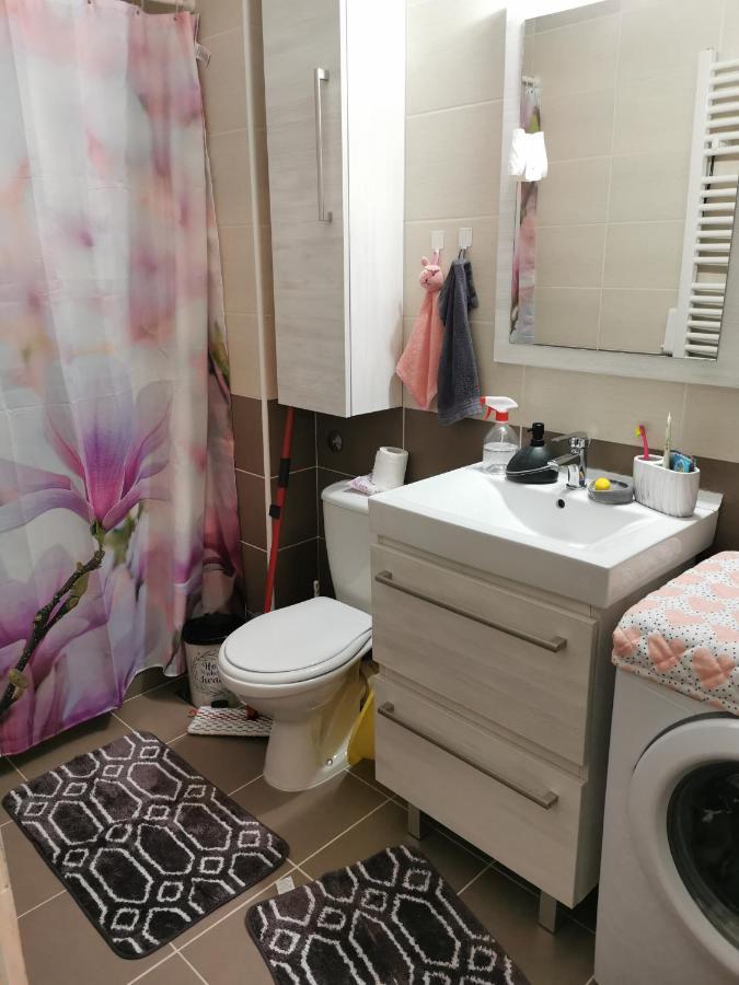 Lux Apartman Lena 贝尔格莱德 外观 照片